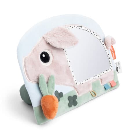 Activity Floor Mirror – Pigee